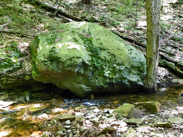 FallsCreekAug2011