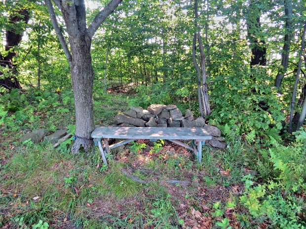 BealesPondJul2013
