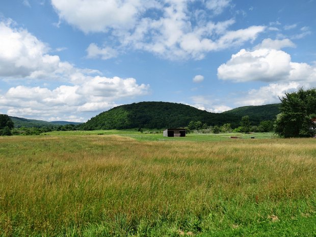 Rt79PurvisRdJul2015
