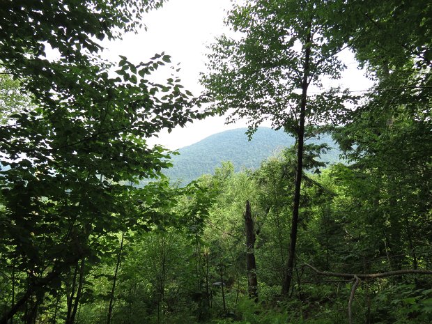 Finger Lakes Trail