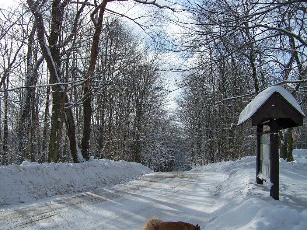 FlynnJan2009