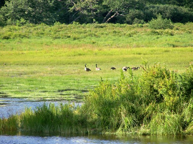 FrickAug2008