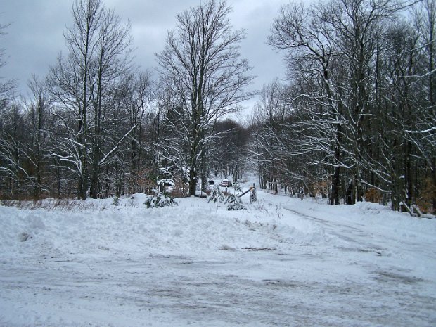 FrickDec2007