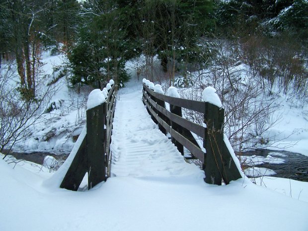 FrickDec2008