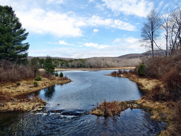 FrickFallsApr2014