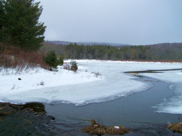 FrickFeb2008