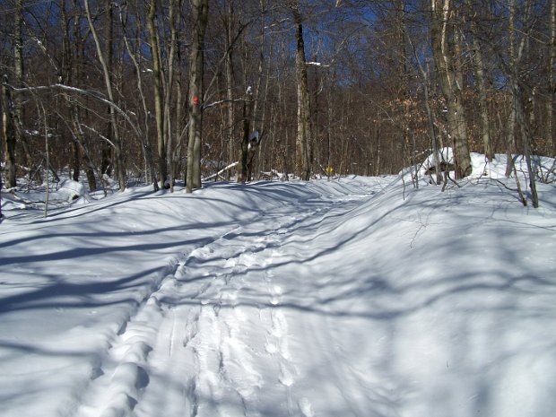 FrickFeb2009