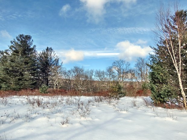 FrickFeb2015