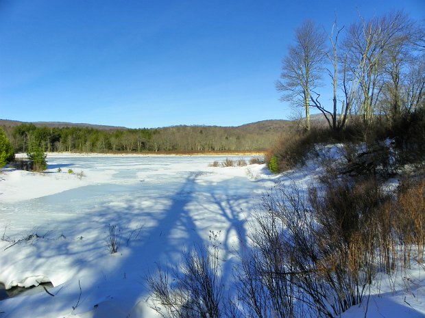 FrickHodgeDec2009