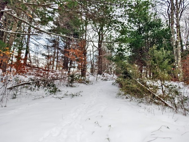 FrickHodgeDec2013A