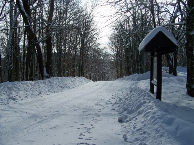 FrickHodgeJan2009