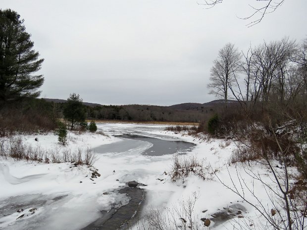 FrickHodgeJan2016