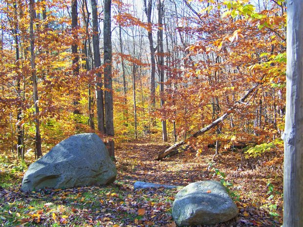 FrickHodgeOct2007
