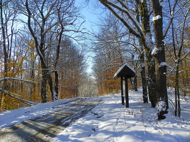 FrickHodgeOct2011