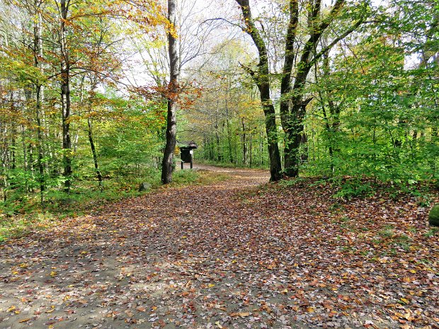 FrickHodgeOct2018