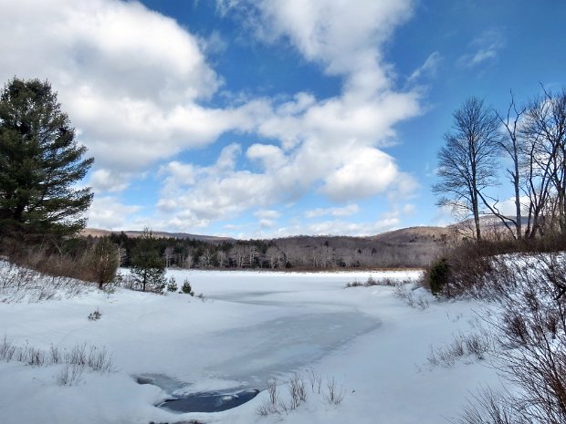FrickHodgeSnowshoeFeb2014