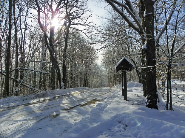 FrickJan2011