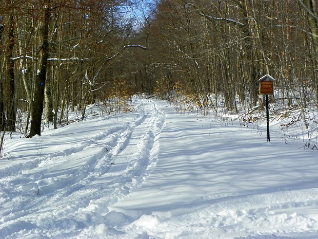 FrickJan2012