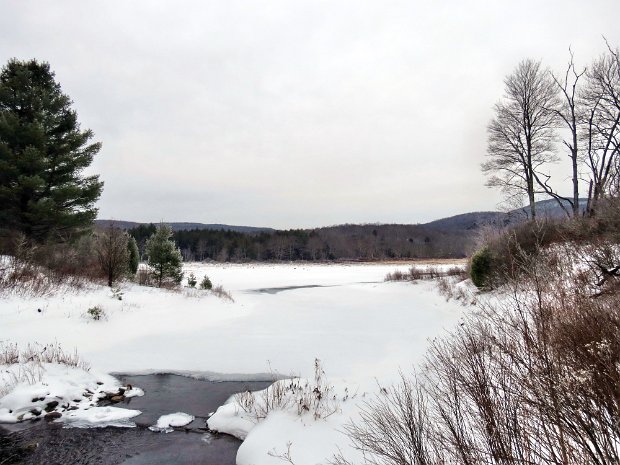 FrickJan2013