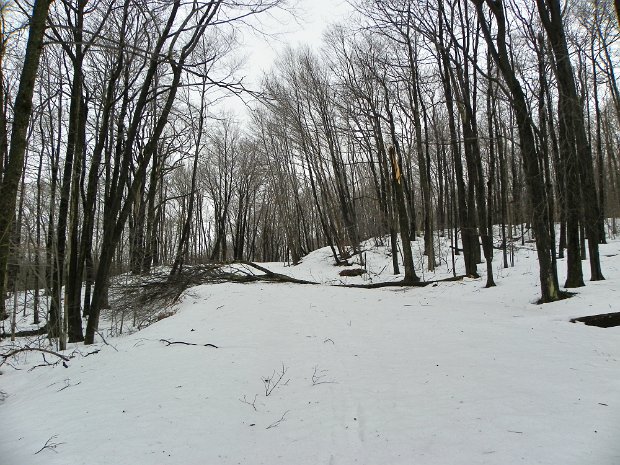 FrickMar2010