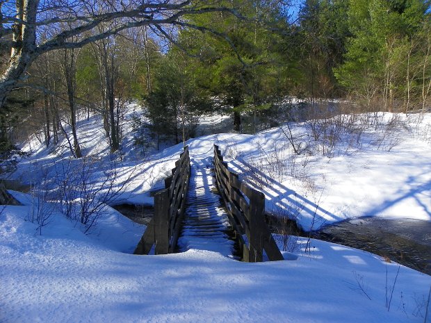 FrickMar2011A