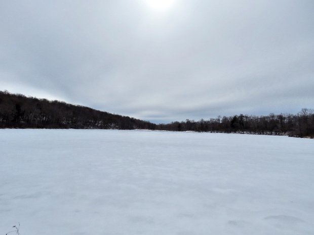 HodgeFrickFeb2016