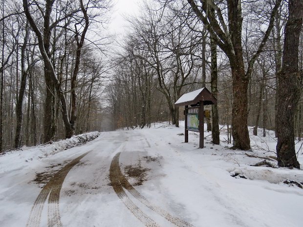 HodgeFrickFeb2020