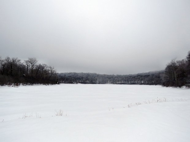 HodgeFrickFeb2021