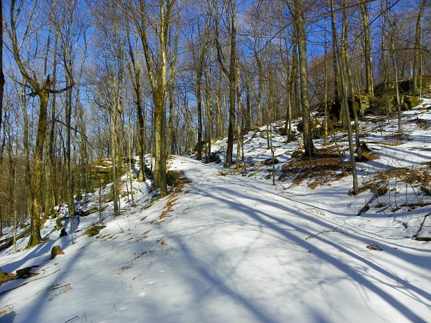 HodgeFrickJan2012