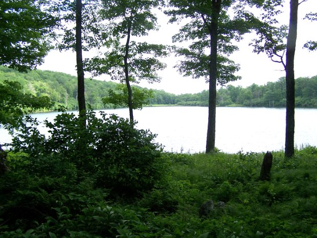 HodgeFrickJun2007