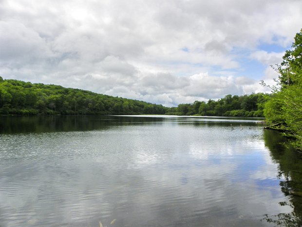 HodgeFrickJun2011