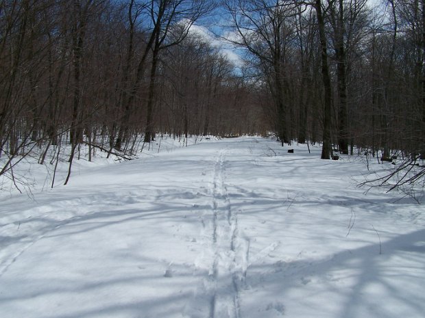 HodgeFrickMar2007