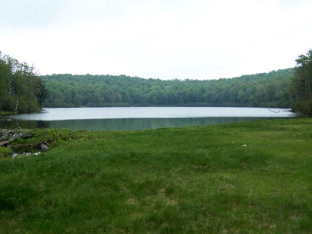 HodgeFrickMay2008