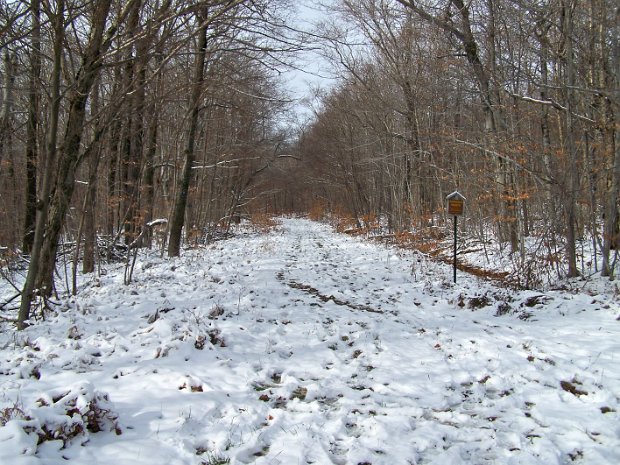 HodgeFrickNov2007