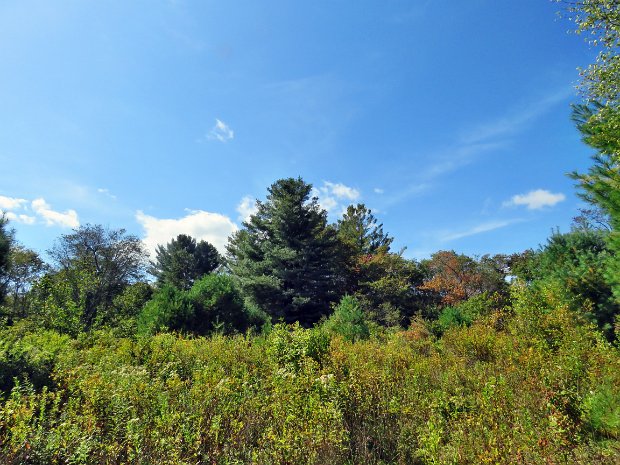 HodgeFrickSep2019