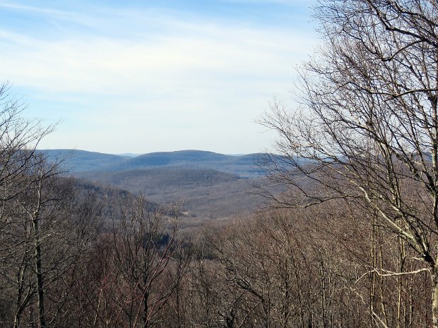 HodgeLookoutFeb2016