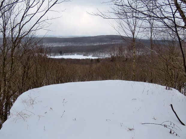 HodgeLookoutFeb2020