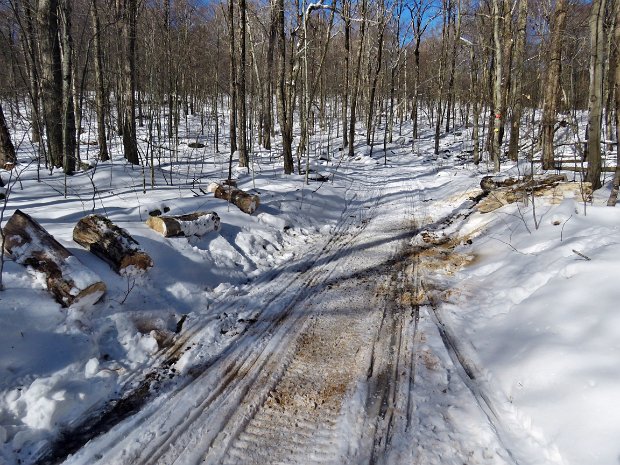 LoggersQuickJan2021