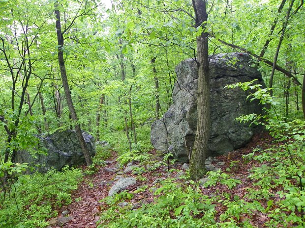 GerardMay2010