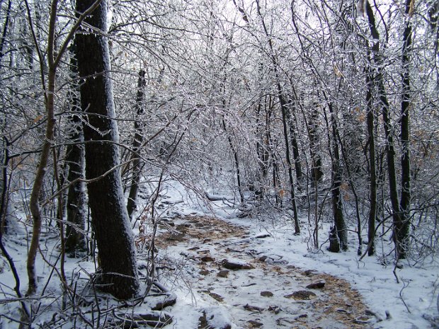 GiantLedgeDec2008