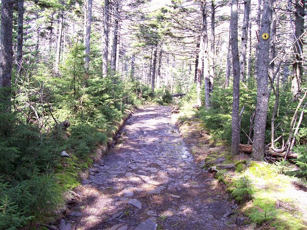HunterApr2006