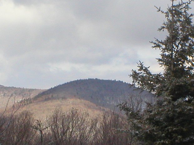 HunterFeb2006