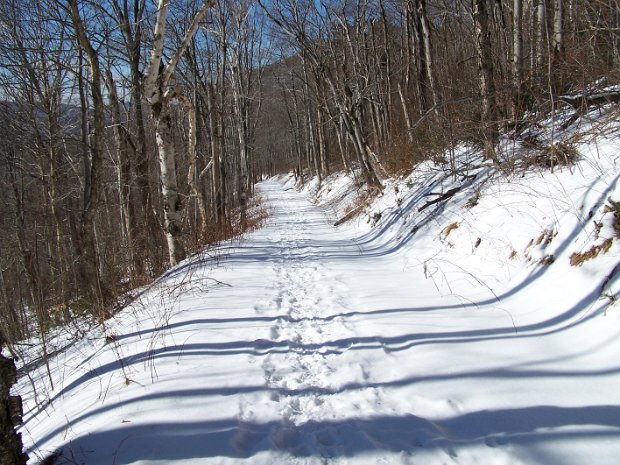HunterJan2009