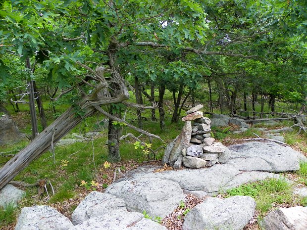 JenningsJun2010