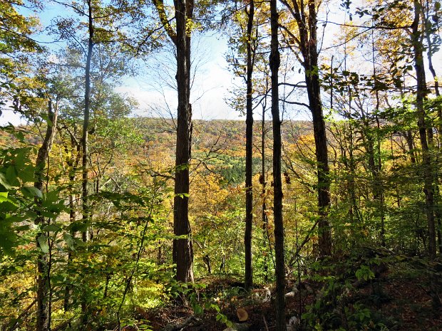 KellyHollowOct2014