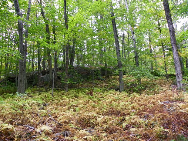 LakeSuperiorSep2010