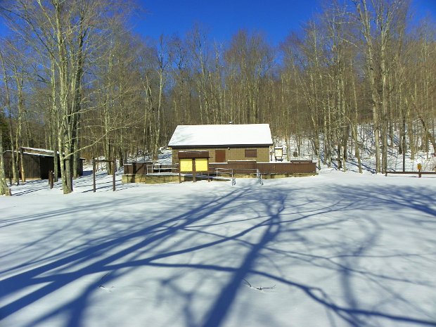 LittlePondJan2010