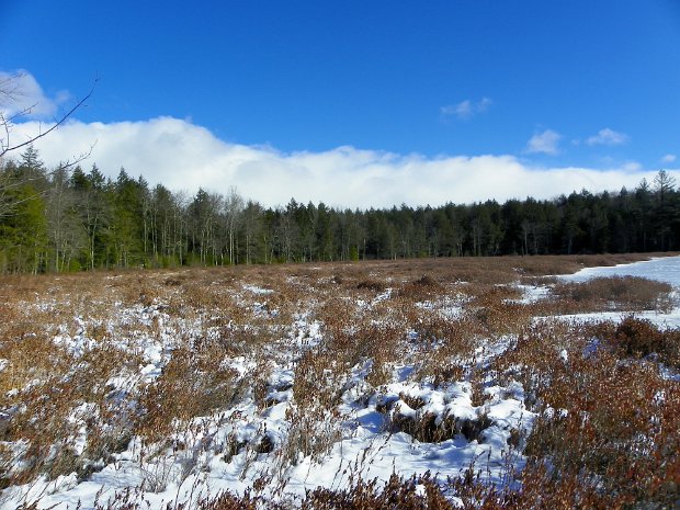 LongLoopJan2012