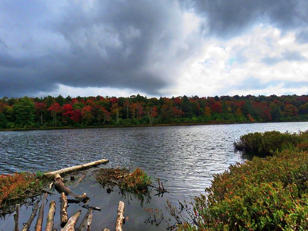 LongPondBeaverkillRidgeMaintenanceSep2020