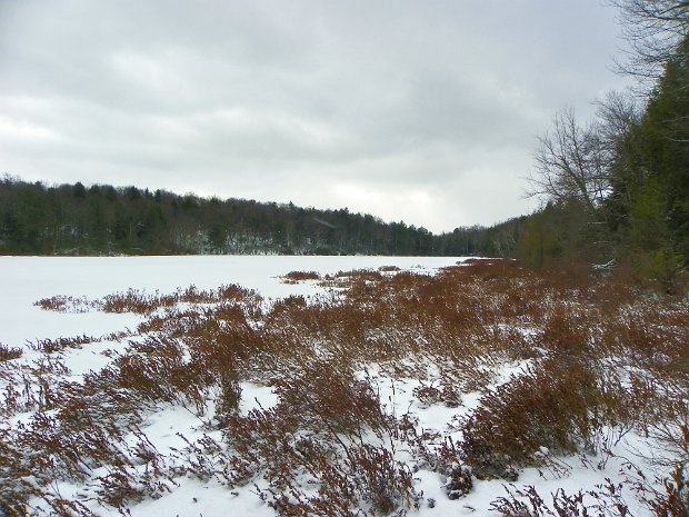 LongPondDec2009